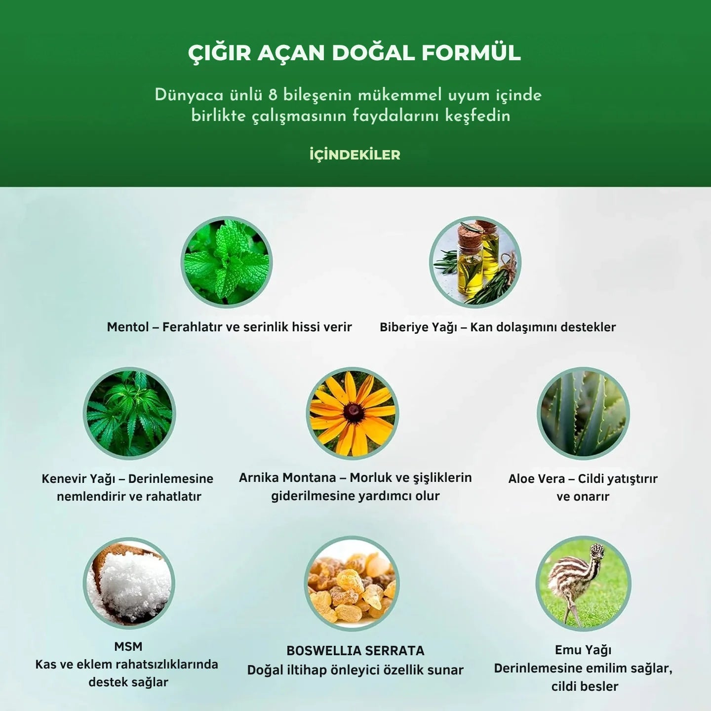 MedikalEvin™ Derin Doku Ayak Kremi